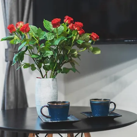 Sleepwithus Kopernika 28 Apartment Warsaw